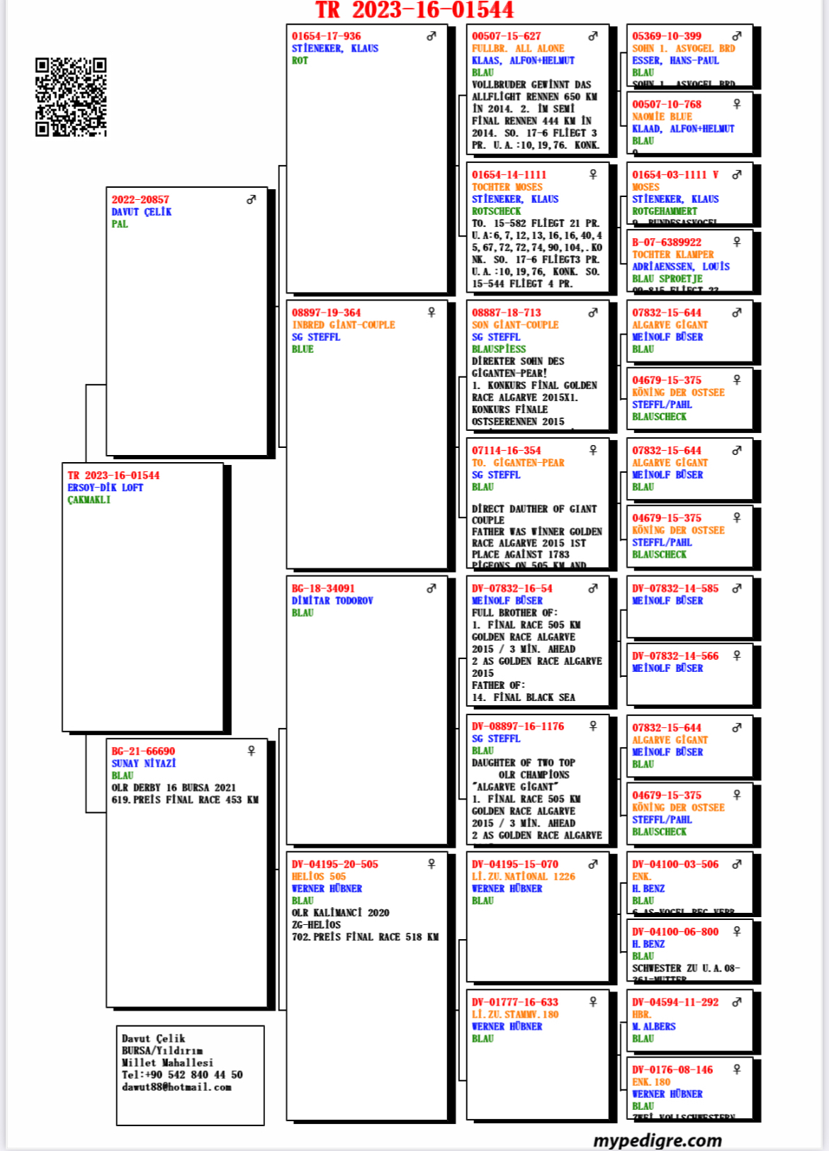 TR23-16-1544 / ANNESİ SUNAY NİYAZİ