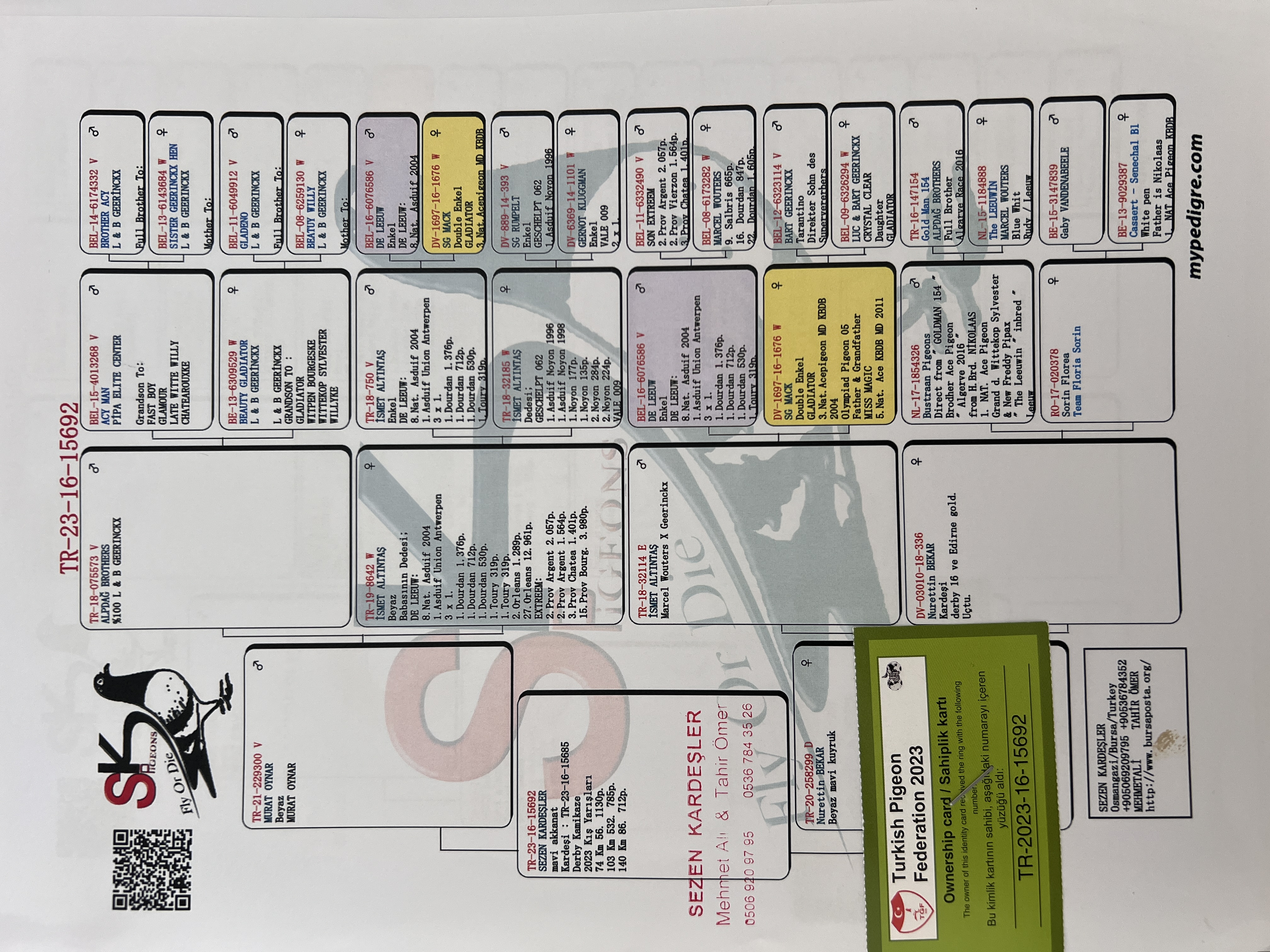 TR23-16-15692 ERKEK / KARDEŞİNİN YAVRULARINDA BİR ÇOK BAŞARI MEVCUTTUR