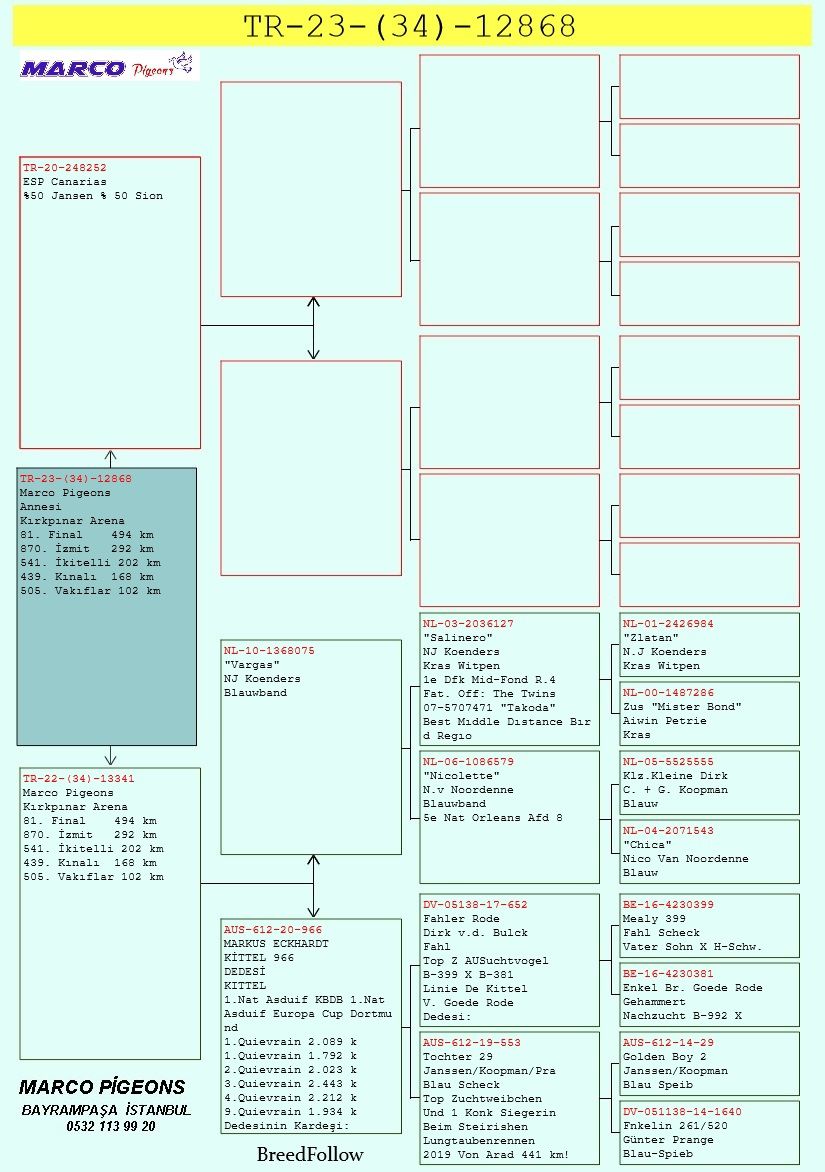 TR23-34-12868 / MARKO