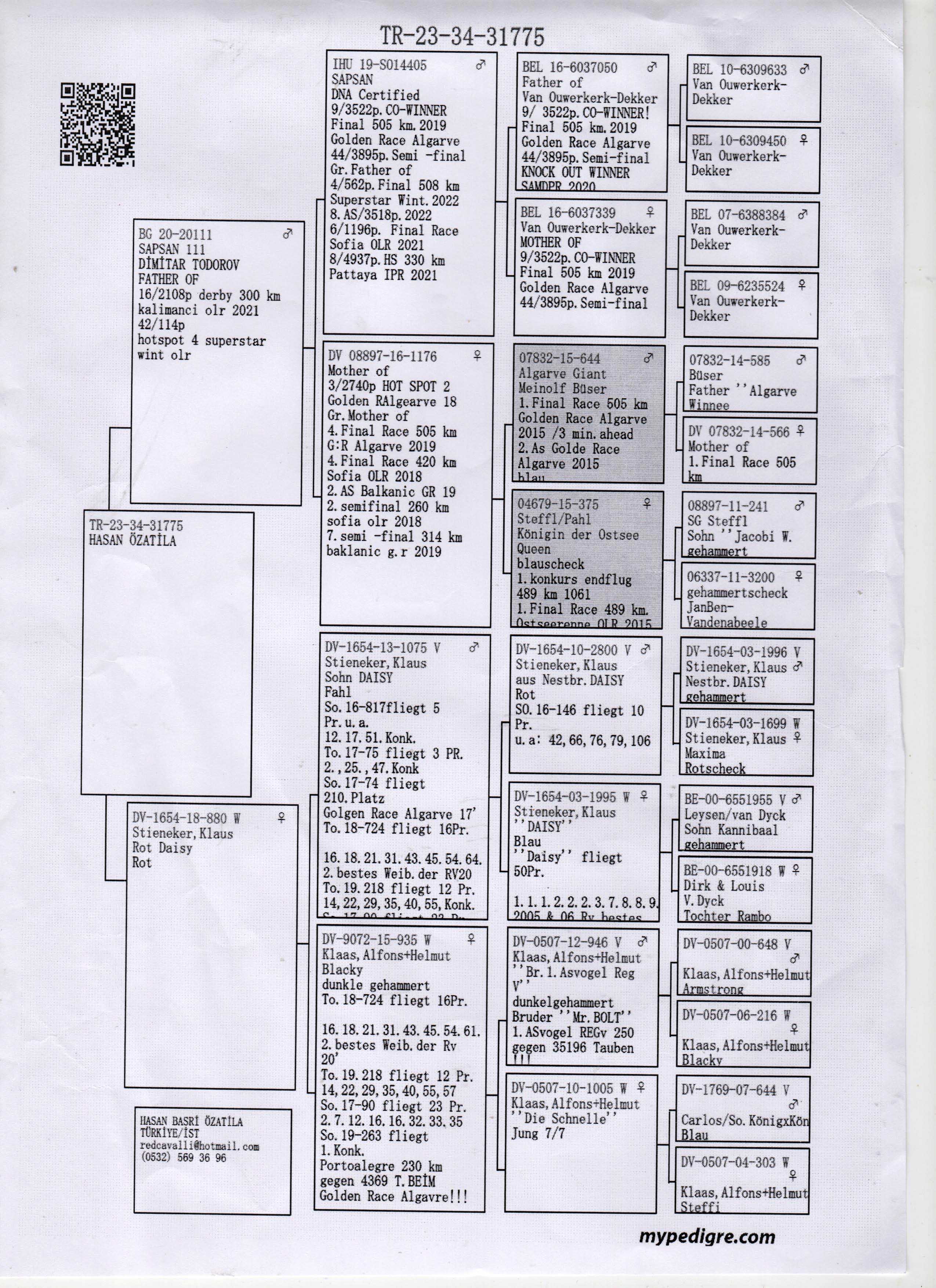 TR23-34-31775 / HASAN ÖZATTİLLA BABA SOYU SAPSAN 9. FİNAL ALGARVE 