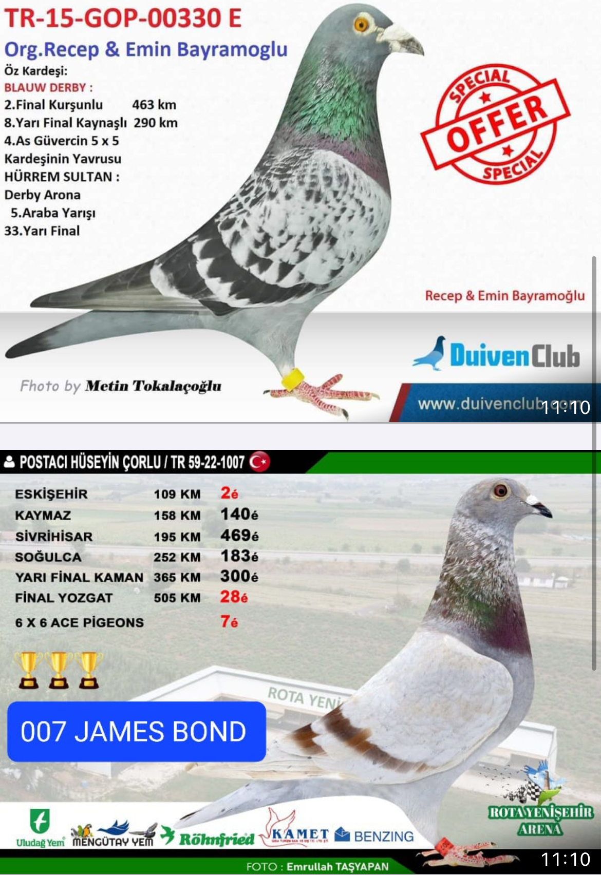 TR23-59-1052 DİŞİ / ANNESİNİN KARDEŞİ JAMES BOND 3 KUPALI