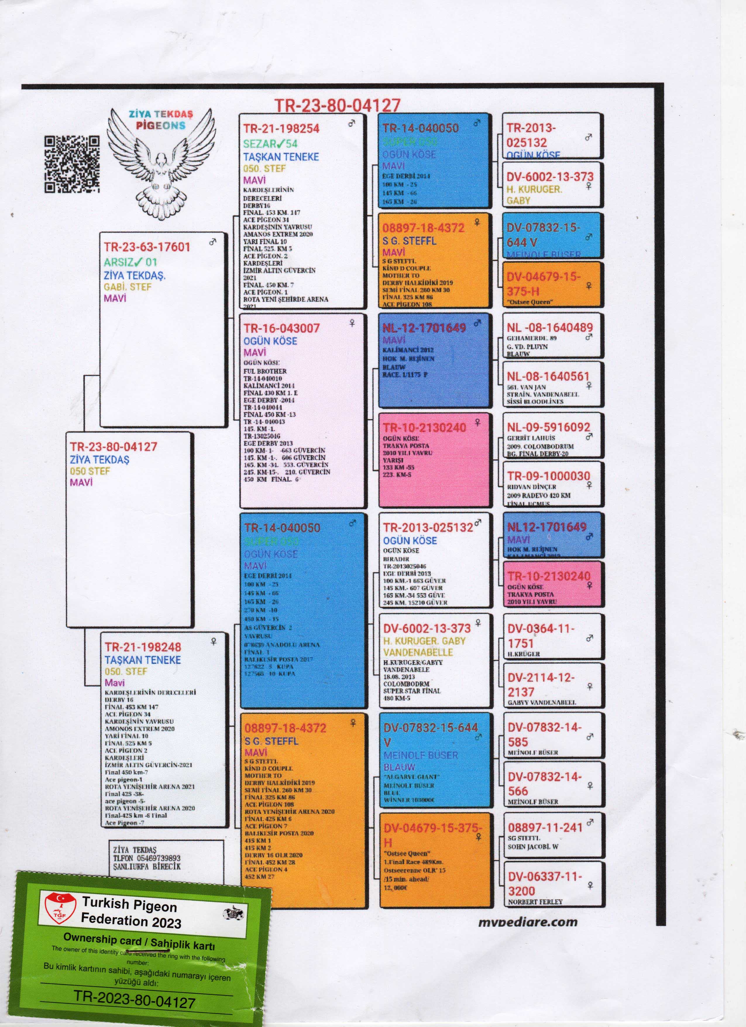 TR23-80-04127 / ANNESİ 050 X SG STEFFL