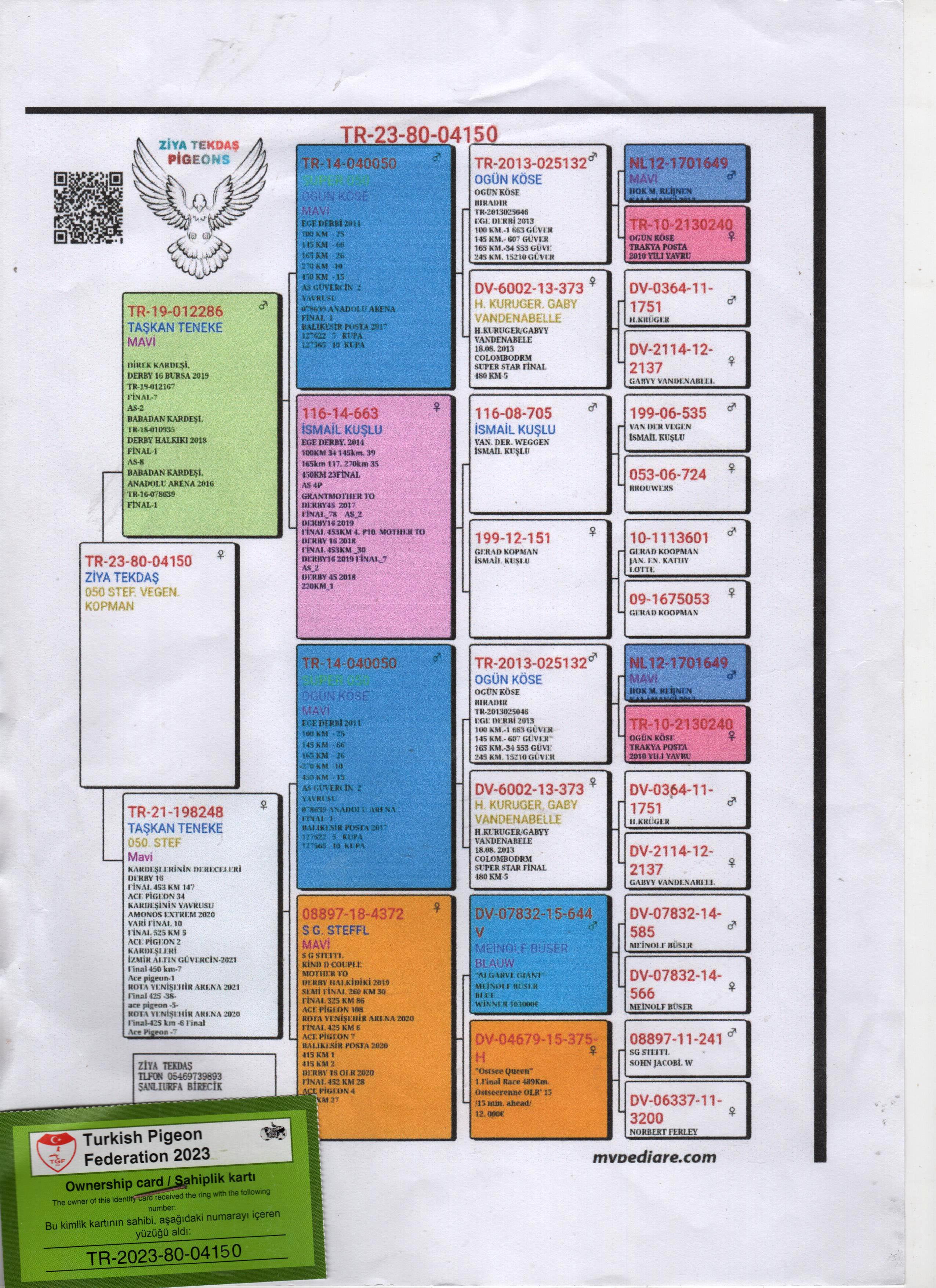 TR23-80-04150 DİŞİ / 050 - STEFFL - WEGEN - KOOPMAN