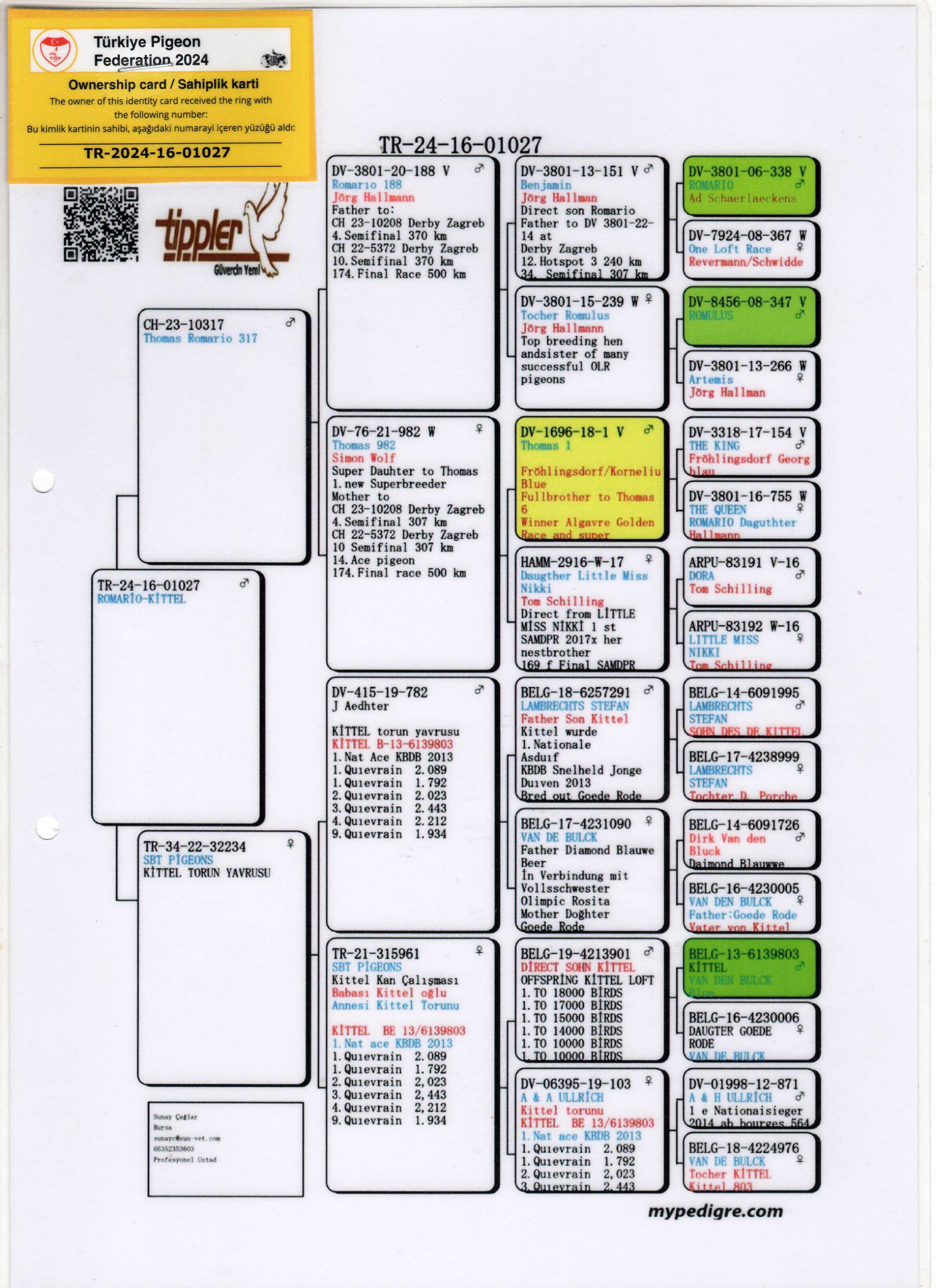 TR24-16-01027 ERKEK / BABA TARAFI ROMARIO ANNESİ TARAFI KITTEL