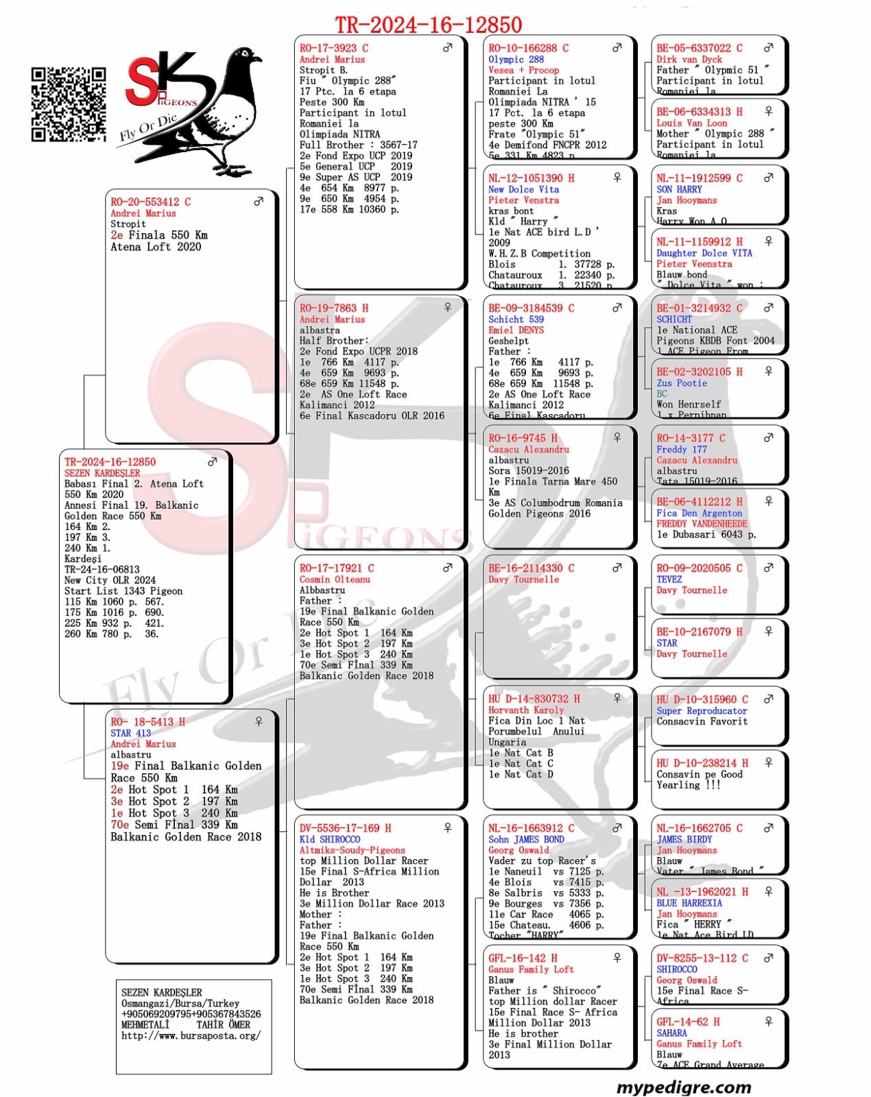 TR24-16-12850 ERKEK / BABASI 2 FİNAL   ANNESİ 19 FINAL 