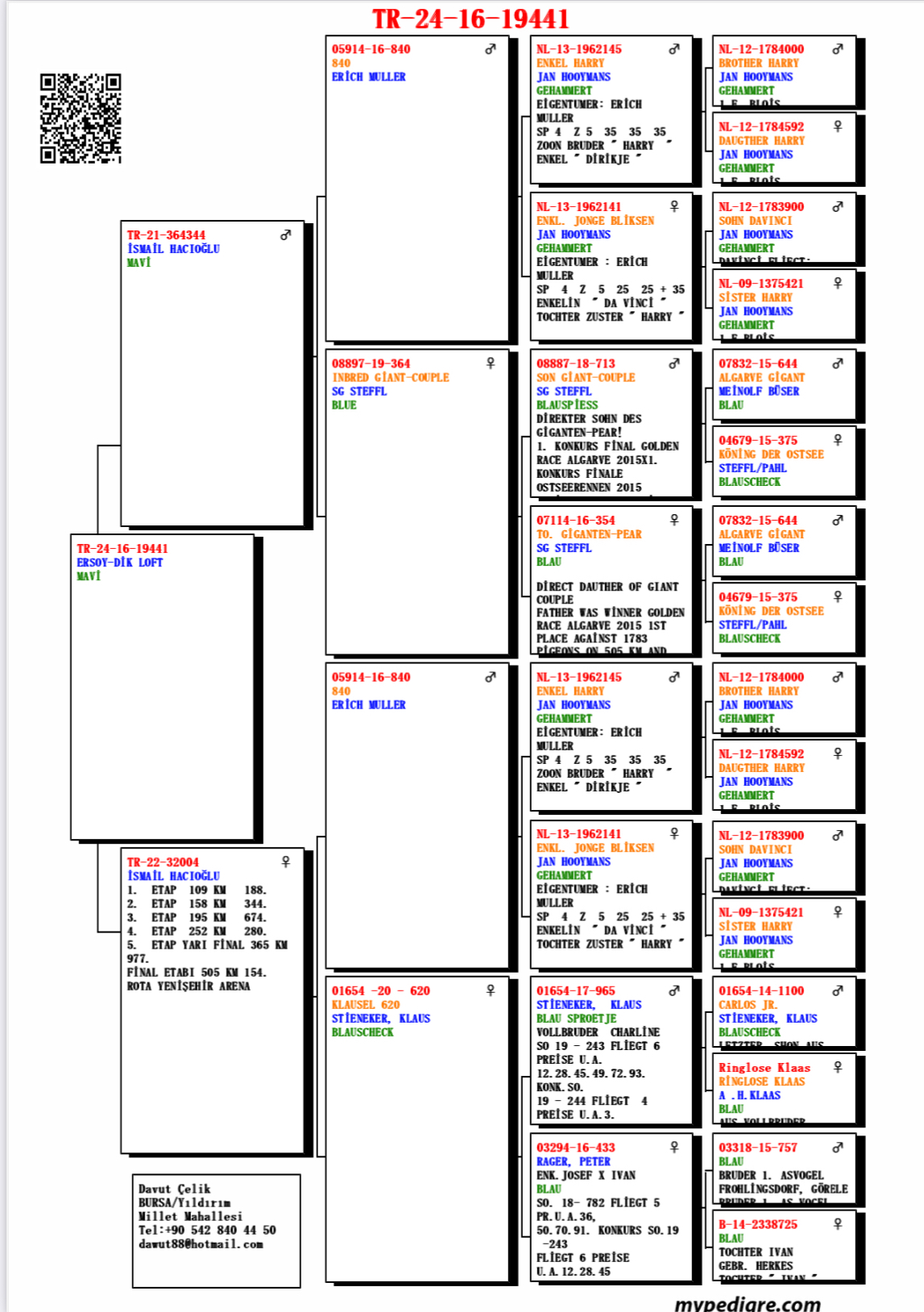 TR24-16-19441 DİŞİ /ANNESİ 154 FİNAL ROTA YENİ ŞEHİR ARENA