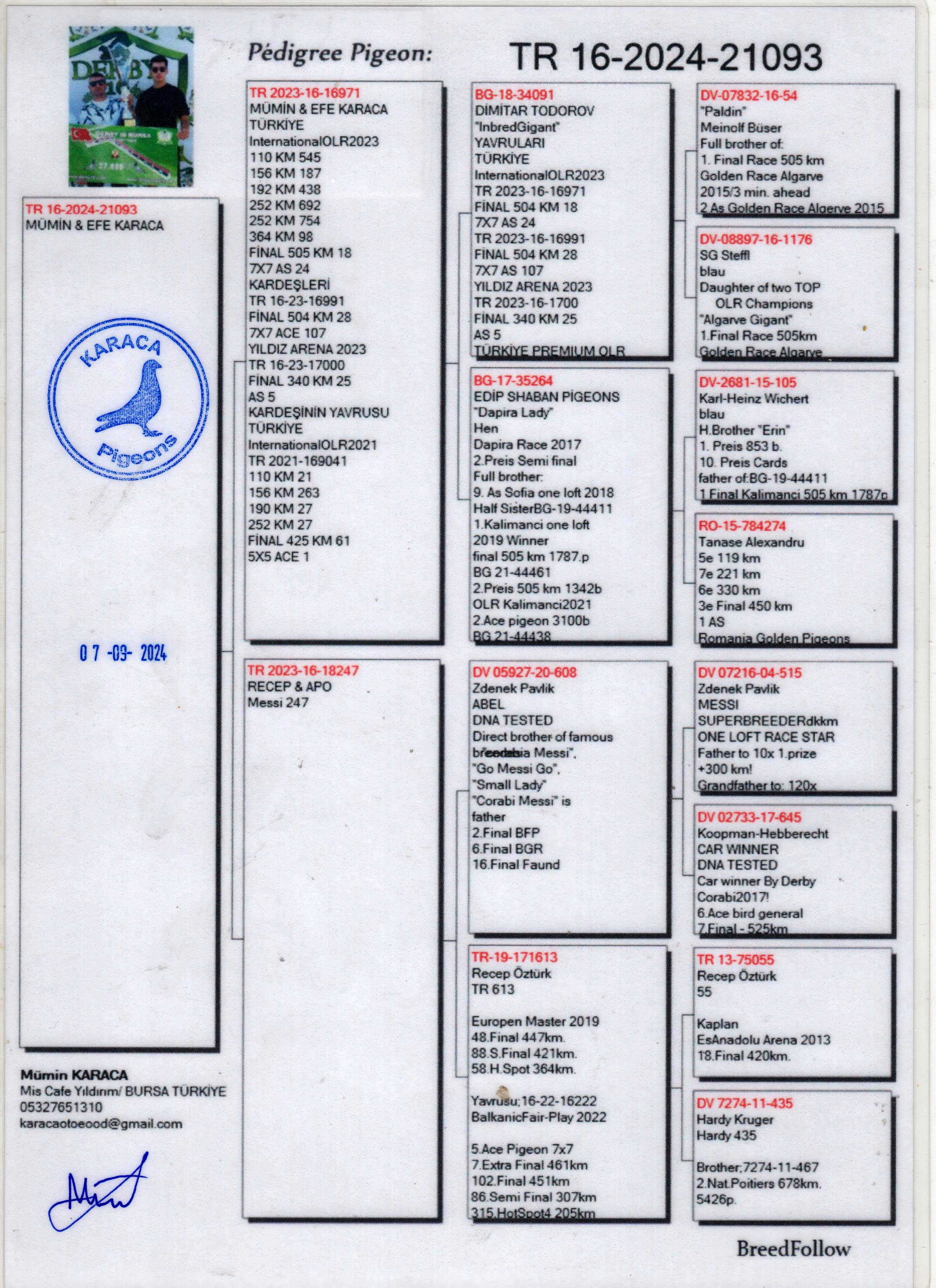 TR24-16-21093 DİŞİ / MÜMİN KARACA BABASI 18 FİNAL ANNESİ MESSİ TORUNU