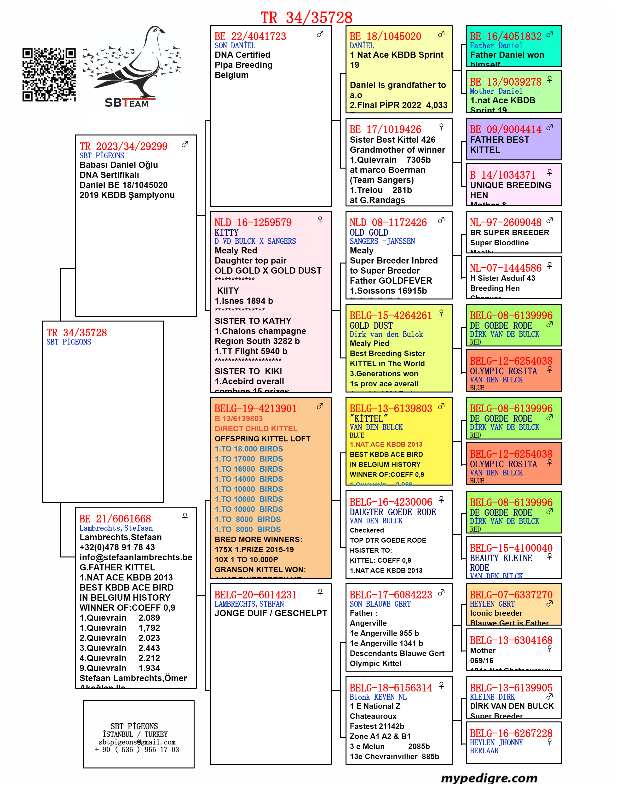 TR24-34-35728 ERKEK / BABASI DANIEL TORUN ANNESİ KITTEL TORUNU