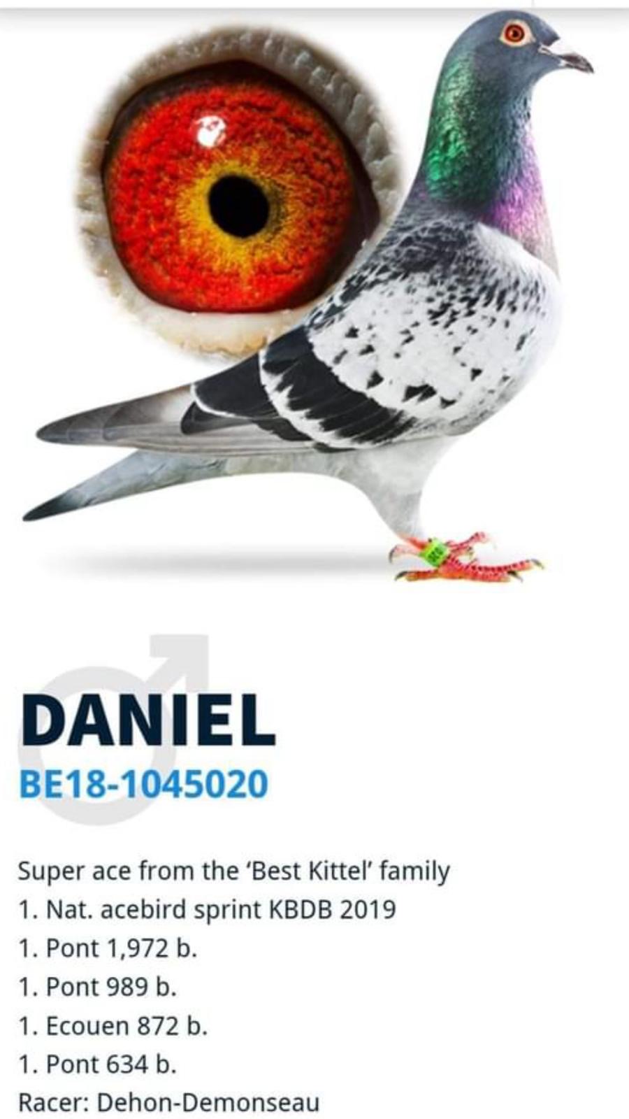 TR24-34-35728 ERKEK / BABASI DANIEL TORUN ANNESİ KITTEL TORUNU