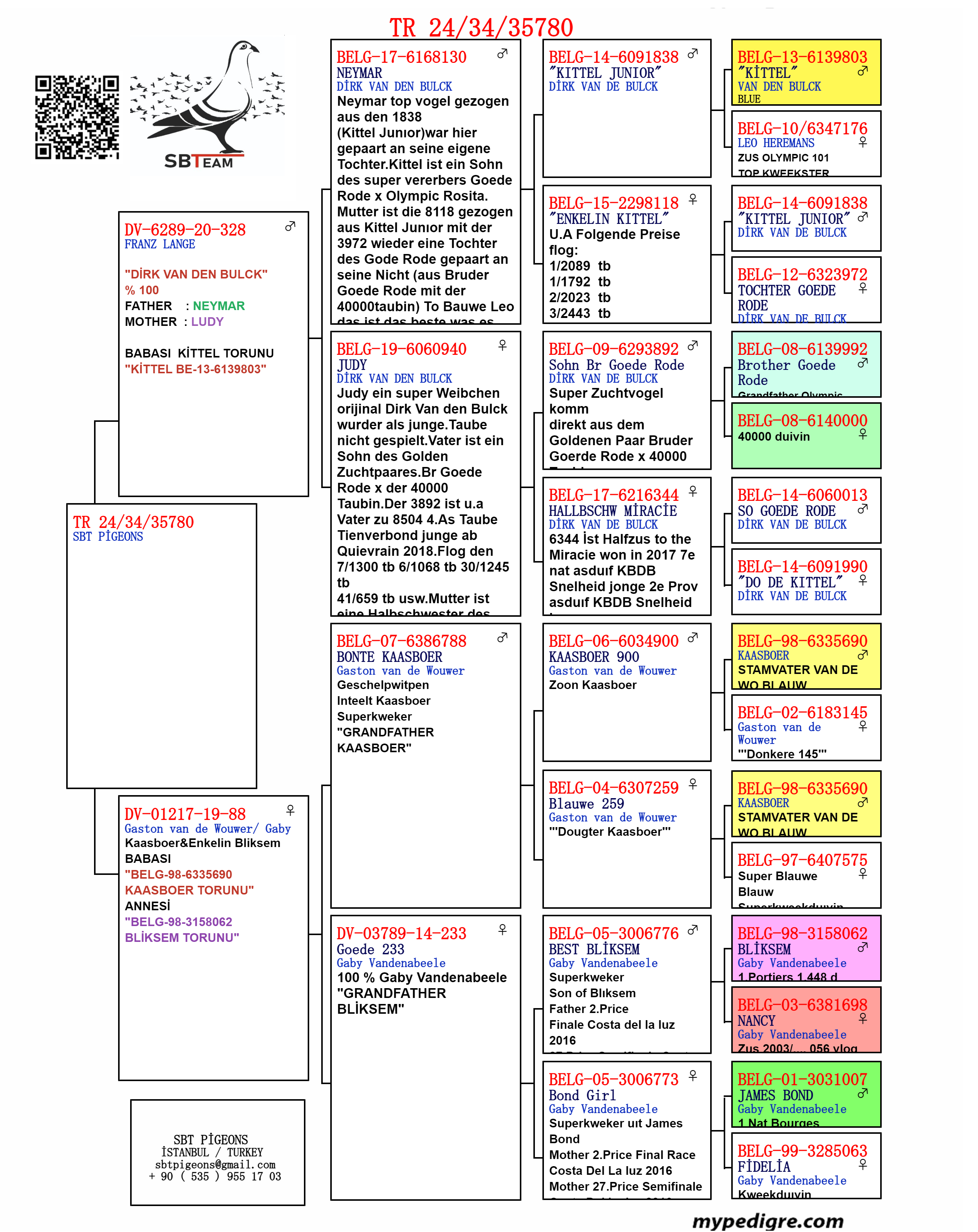 TR24-34-35780 ERKEK / BABASI DİRK VAN DE BLUCK ANNESİ GASTON 