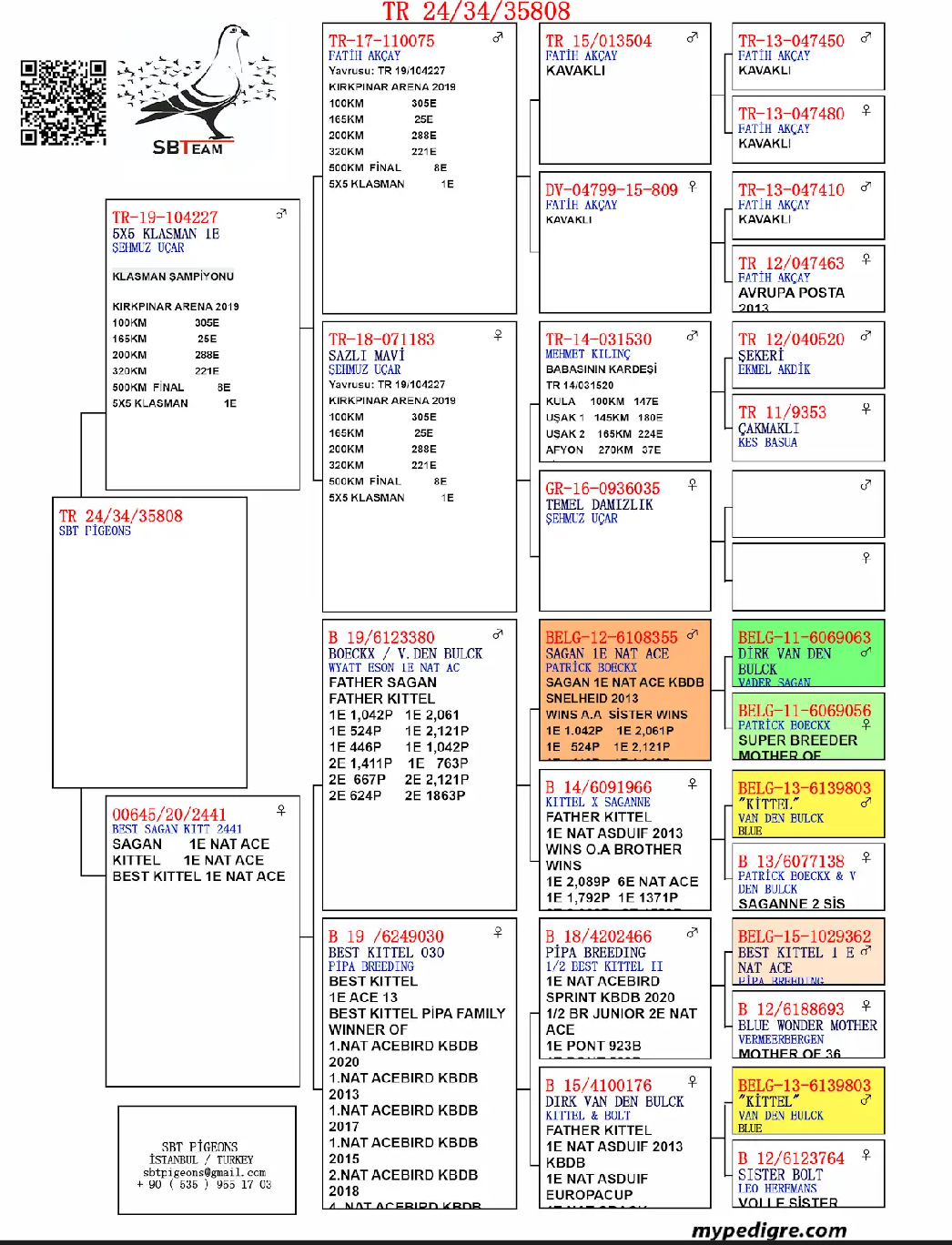 TR24-34-35808 DİŞİ / BABASI KIRKPINAR 1 AS KLASMAN