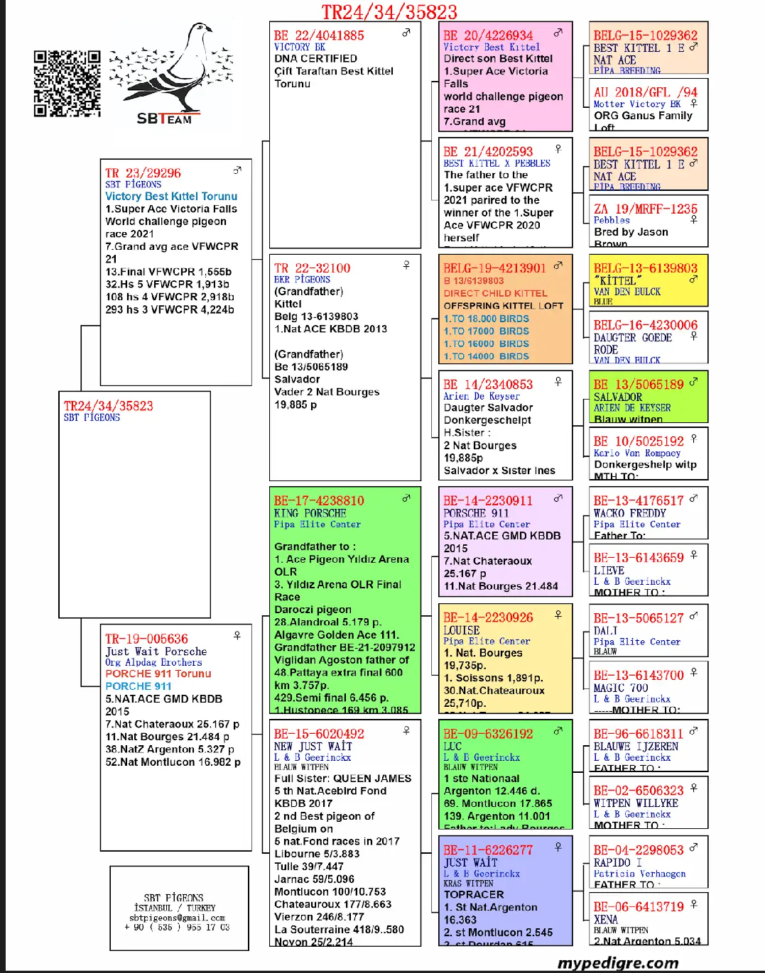 TR24-34-35823 DİŞİ / BABASININ DEDESİ VICTORIA BEST KITTEL