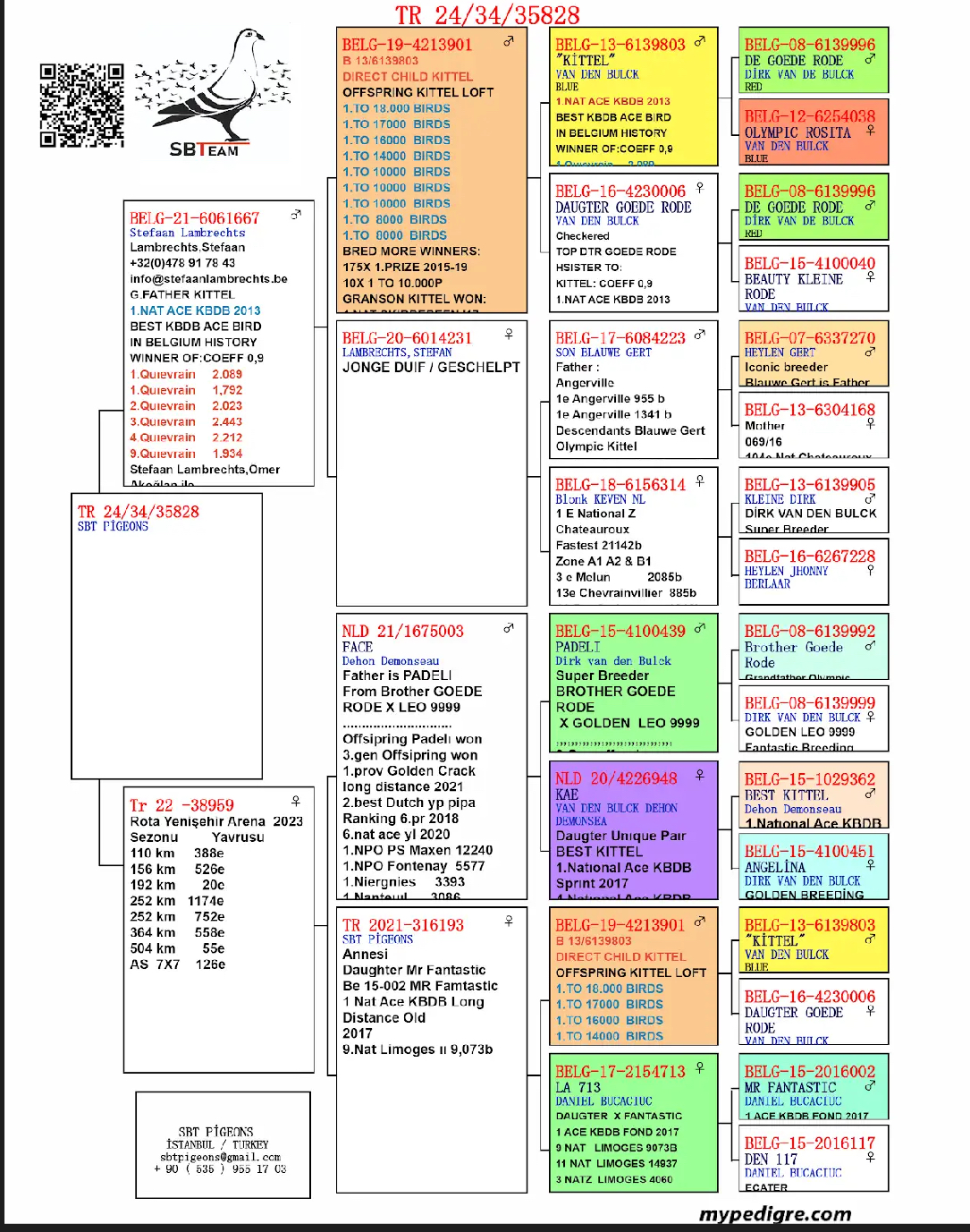 TR24-34-35828 DİŞİ / ANNEDEN KARDEŞİ 55 FİNAL ROTA YENİŞEHİR