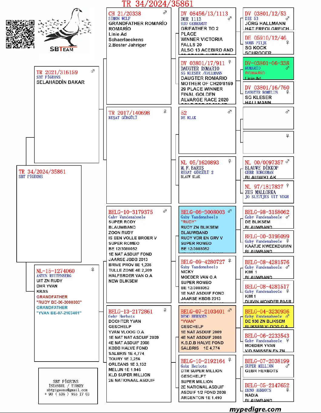 TR24-34-35861 DİŞİ / ROMARIO & GABY  & HERBOTS