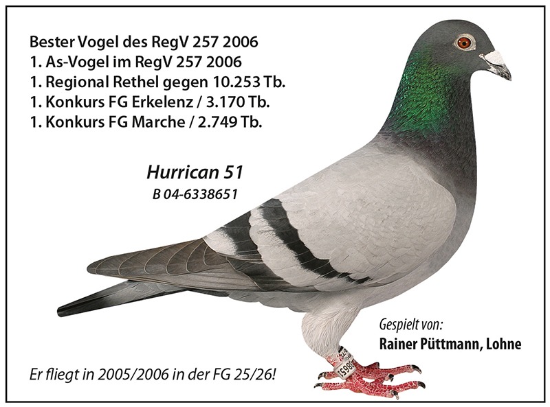 TR24-63-16039 ERKEK / BABASI HALLMAN KRUGER ANNESİ INBREED HURRICAN 51